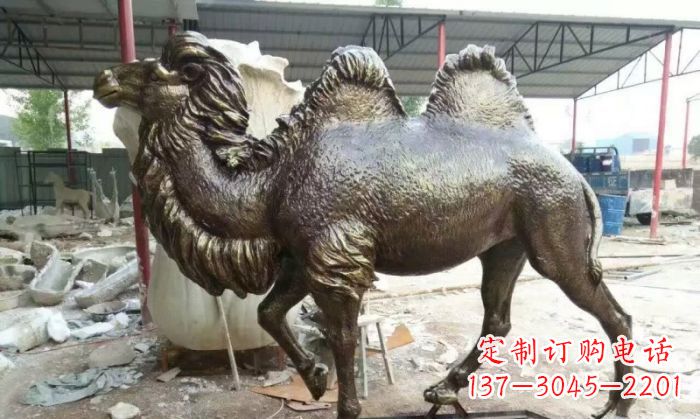 青岛动物骆驼铜雕