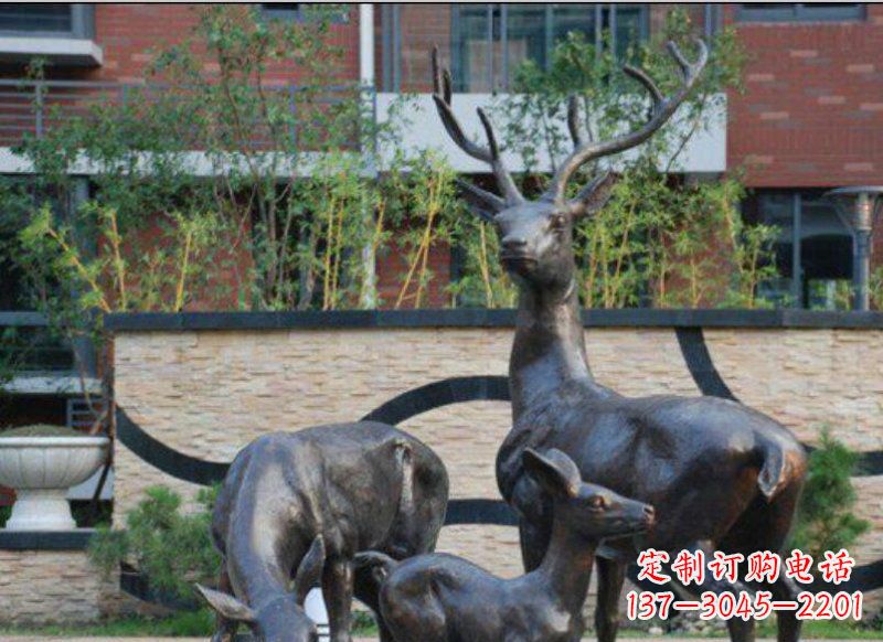 青岛古雅优雅的梅花鹿铜雕