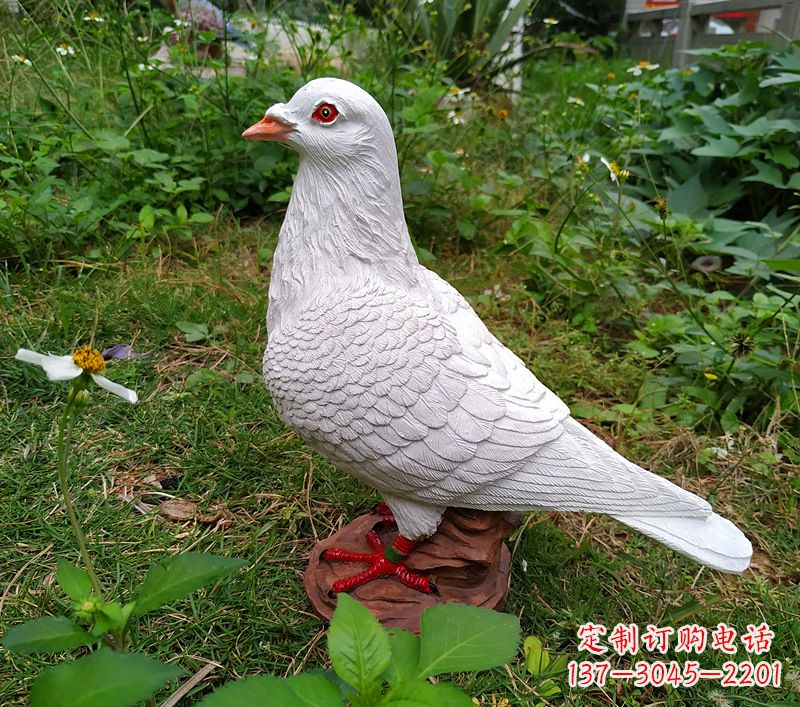 青岛为和平献芳礼：精美少女与和平鸽雕塑