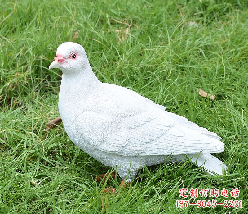 青岛潍坊和平鸽雕塑女孩